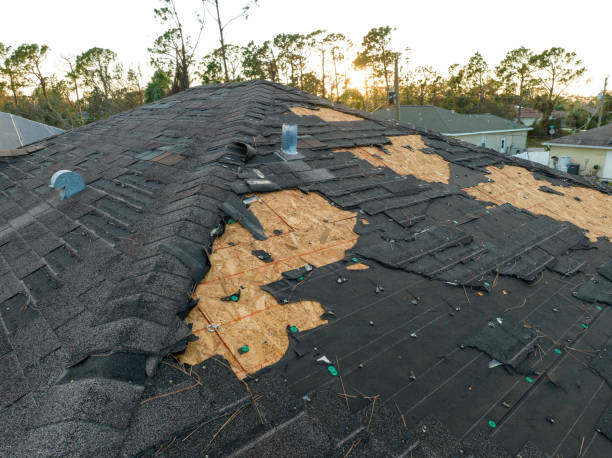 Best Green or Eco-Friendly Roofing Solutions  in Livingston, AL